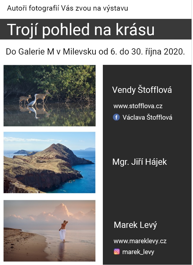 Plakát Výstava Trojí pohled na krásu