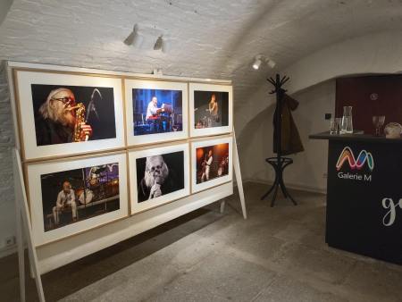 Fotografie Galerie M MIlevsko