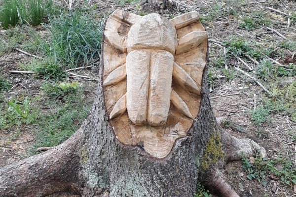 Foto turistického cíle Dřevěné sochy na Pytláku