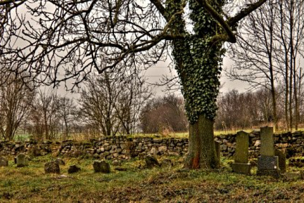 Foto turistického cíle Židovský hřbitov u Chyšek