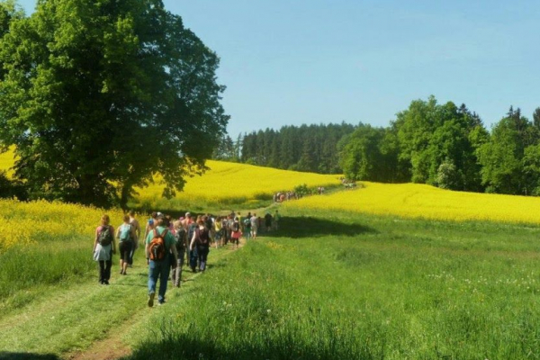 Pochod probouzející se přírodou Milevska a Kovářovska