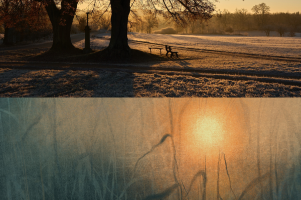 Výstava - Fotografie a digitální kresba