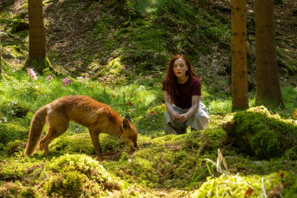 Dívka jménem Willow