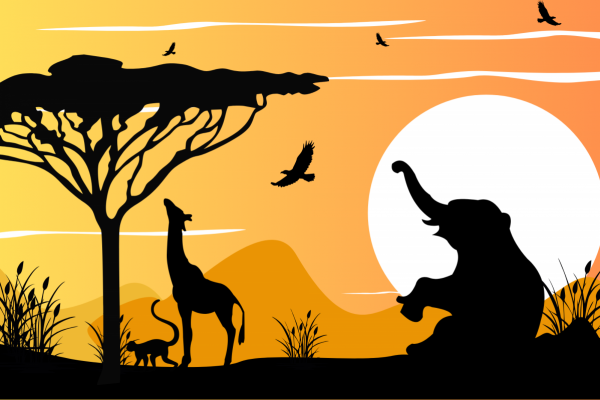 Pohádka - Zvědavé slůně aneb jak sloni k chobotu přišli