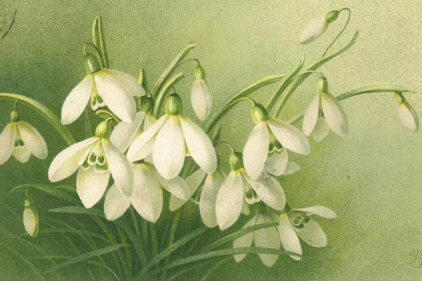 Vernisáž Rozkvět kultury v Čechách