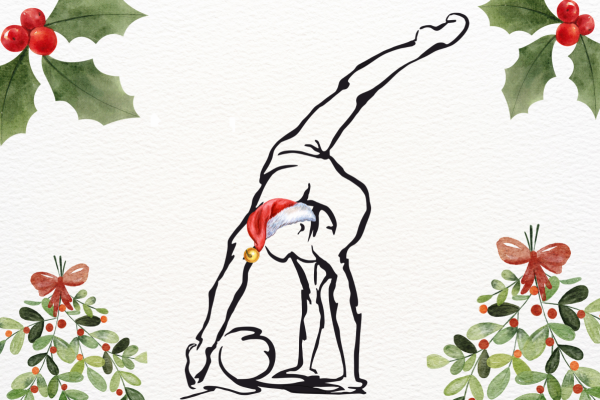 Vánoční besídka Proactive Milevsko