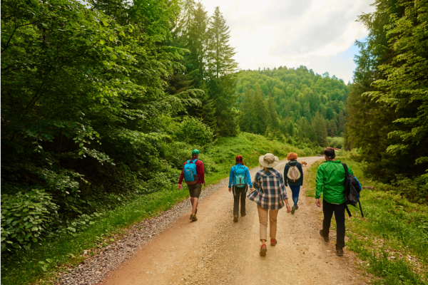 Pochod Milevským krajem