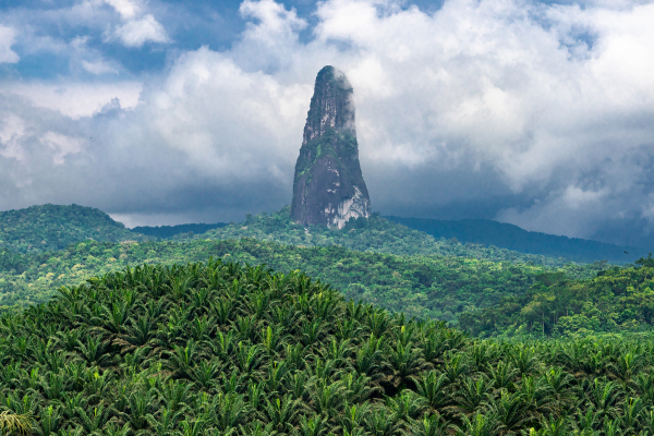 Knihovna na cestách: Svatý Tomáš a Princův ostrov