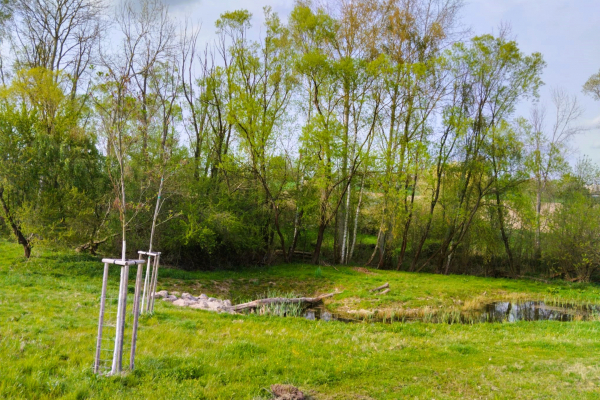 Foto turistického cíle Revitalizované Údolí pod Lipami 
