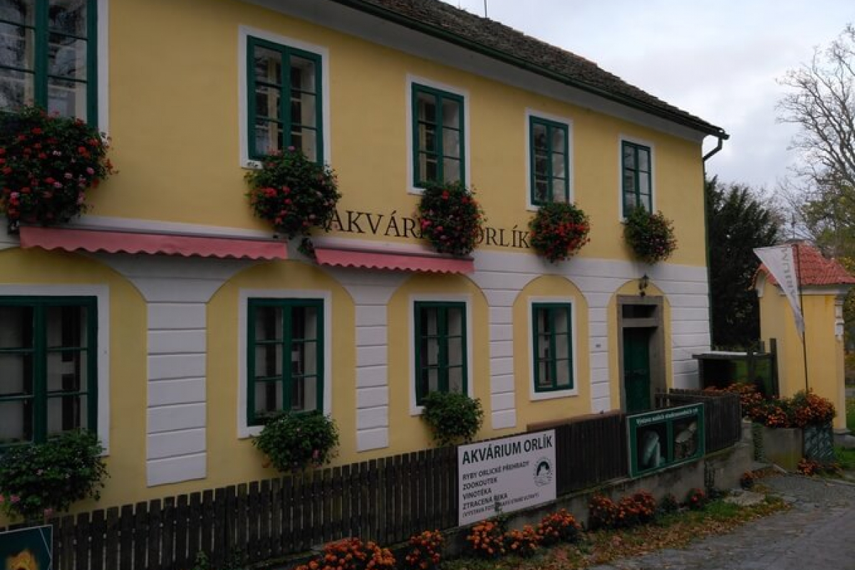 Foto Akvárium Orlík nad Vltavou