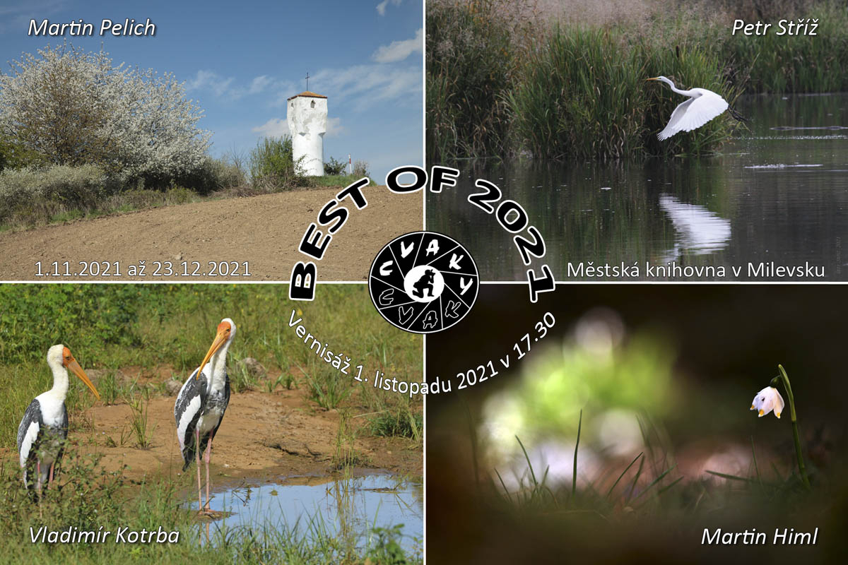Foto Best of 2021