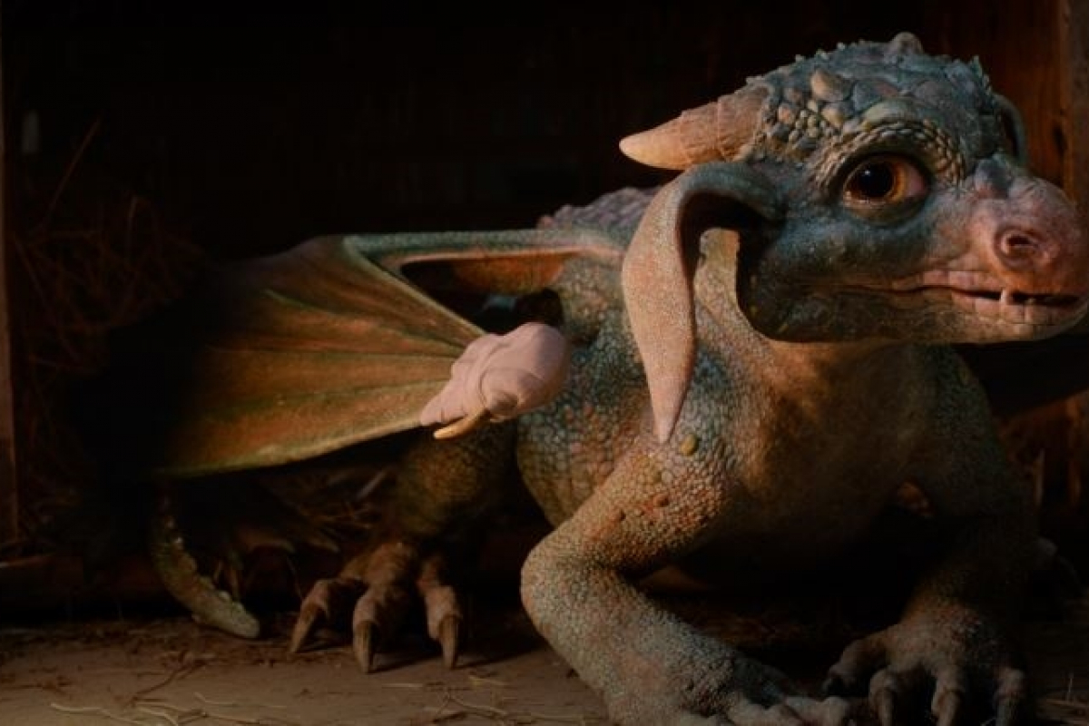 Foto DRAČÍ PRINCEZNA