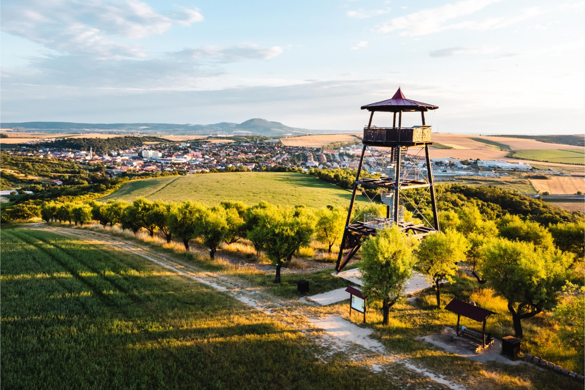 Foto Zájezd za vínem do Hustopečí