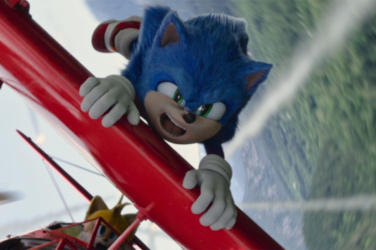 Foto JEŽEK SONIC 2