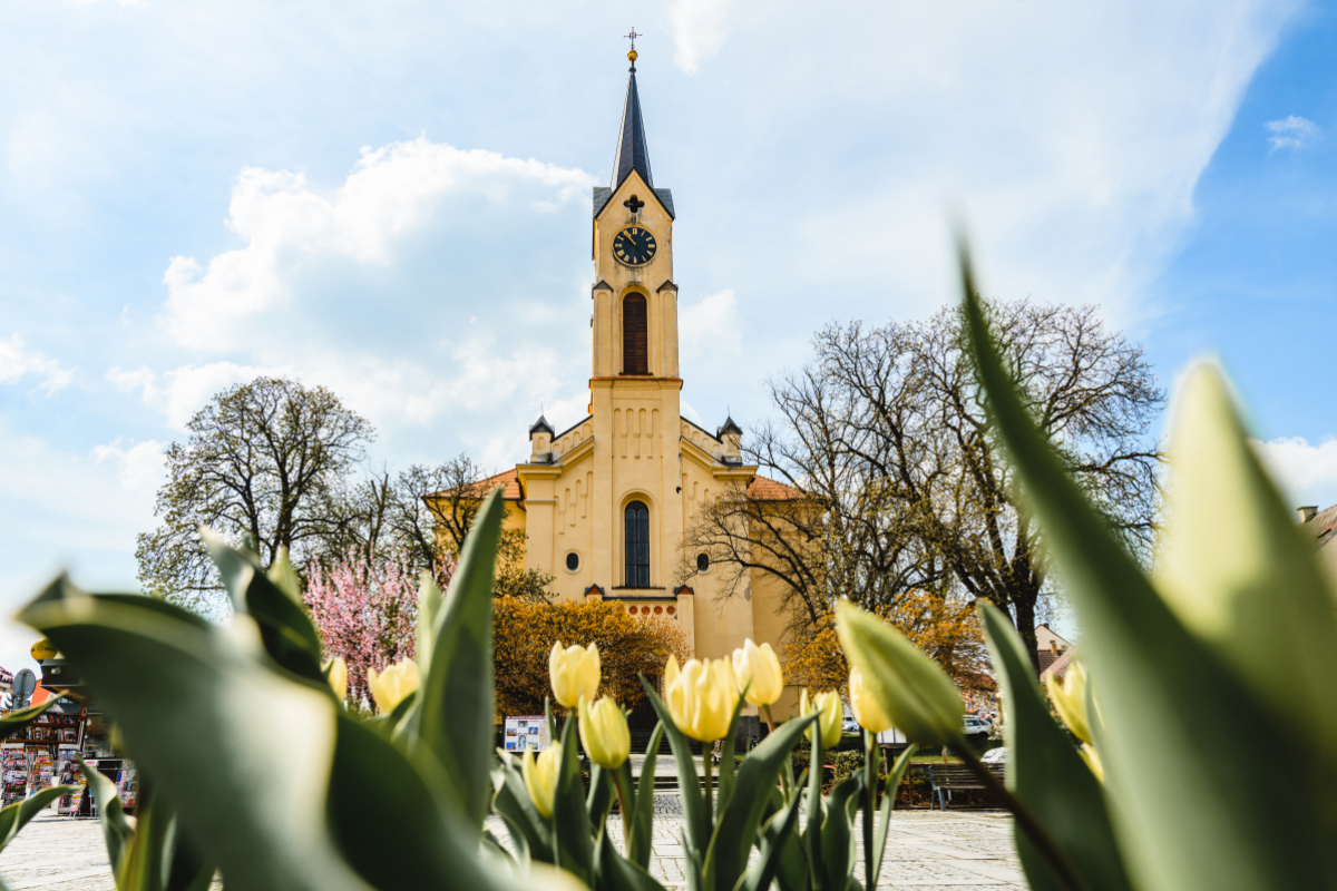 Foto k aktualitě Slavnostní představení knihy Sv. Bartoloměj, kostel v srdci Milevska