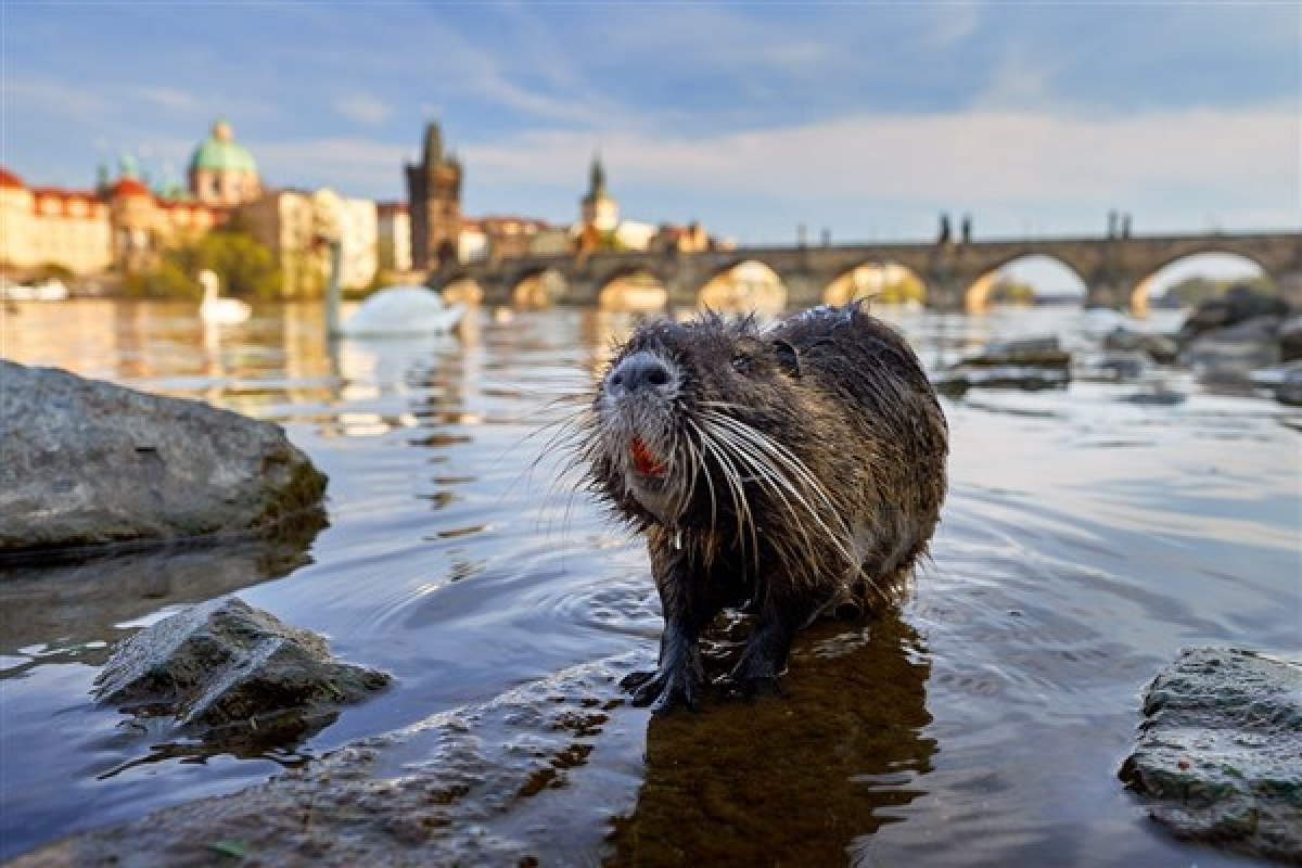 Foto PLANETA PRAHA