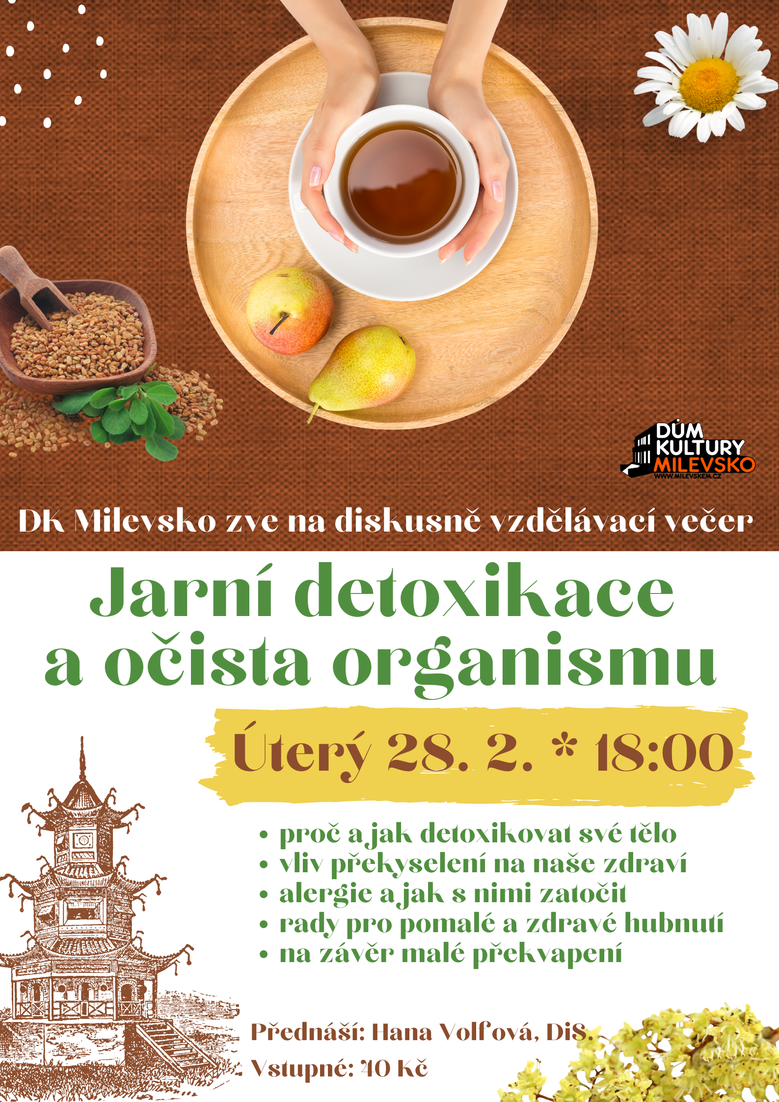 Plakát Diskusně vzdělávací večer - Jarní detoxikace a očista organismu