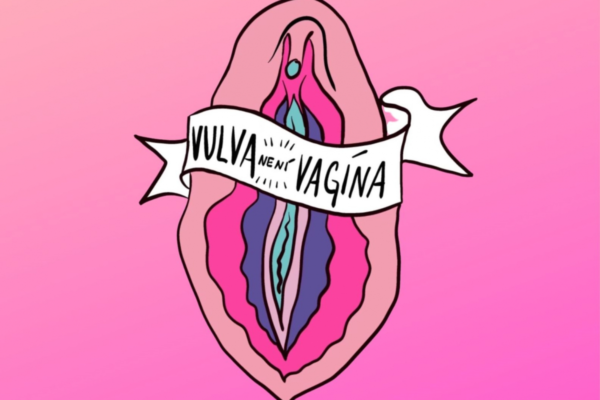 Foto Vulva není vagína