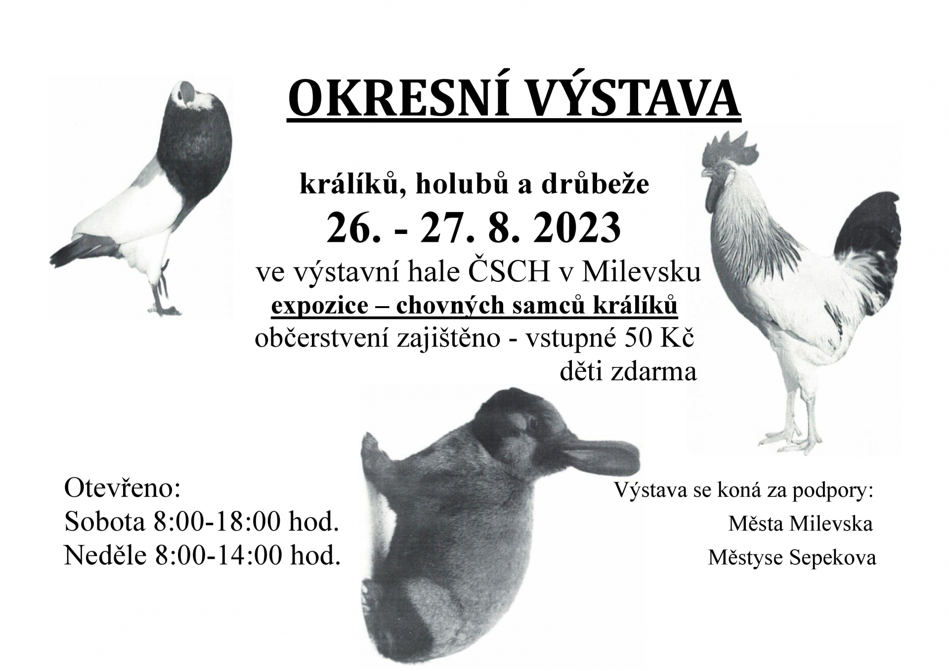 Plakát Okresní výstava