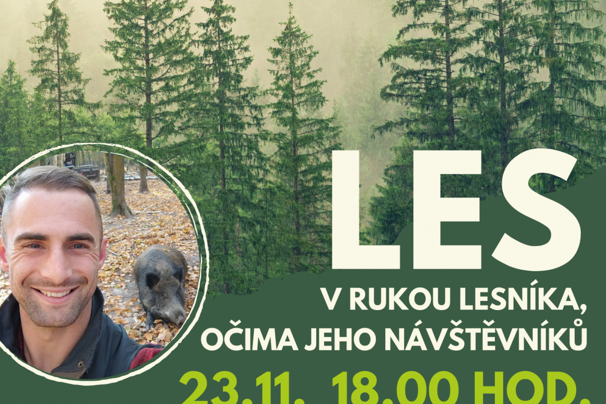 Foto Les v rukou lesníka očima jeho návštěvníků
