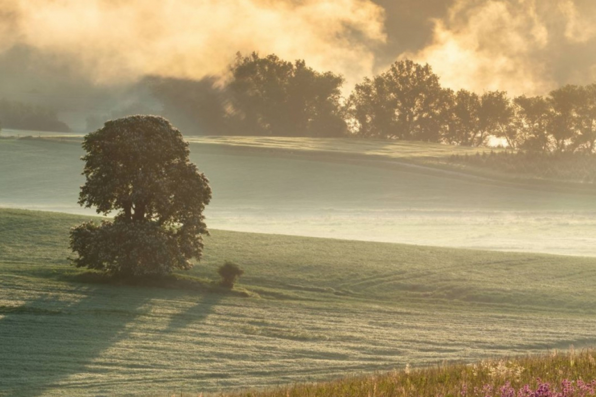 Foto Krajina od Písecka po Šumavu