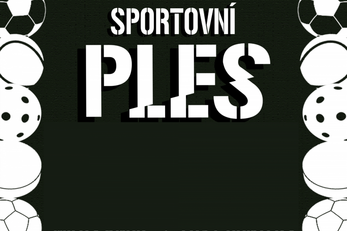 Foto Sportovní ples města Milevska