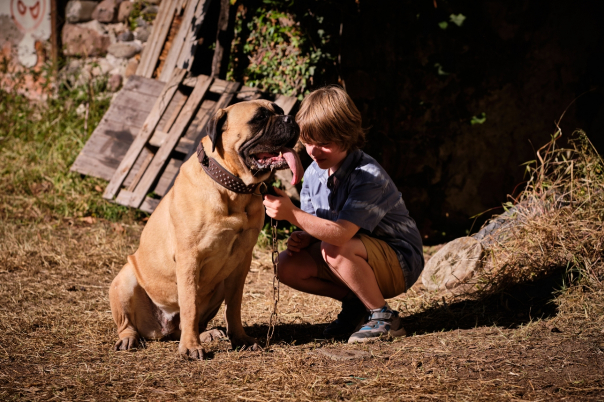 Foto Lassie: Nové dobrodružství