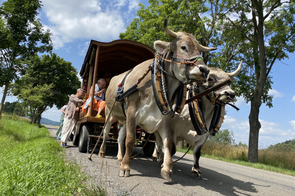 Foto Putující festival Padayātrā 