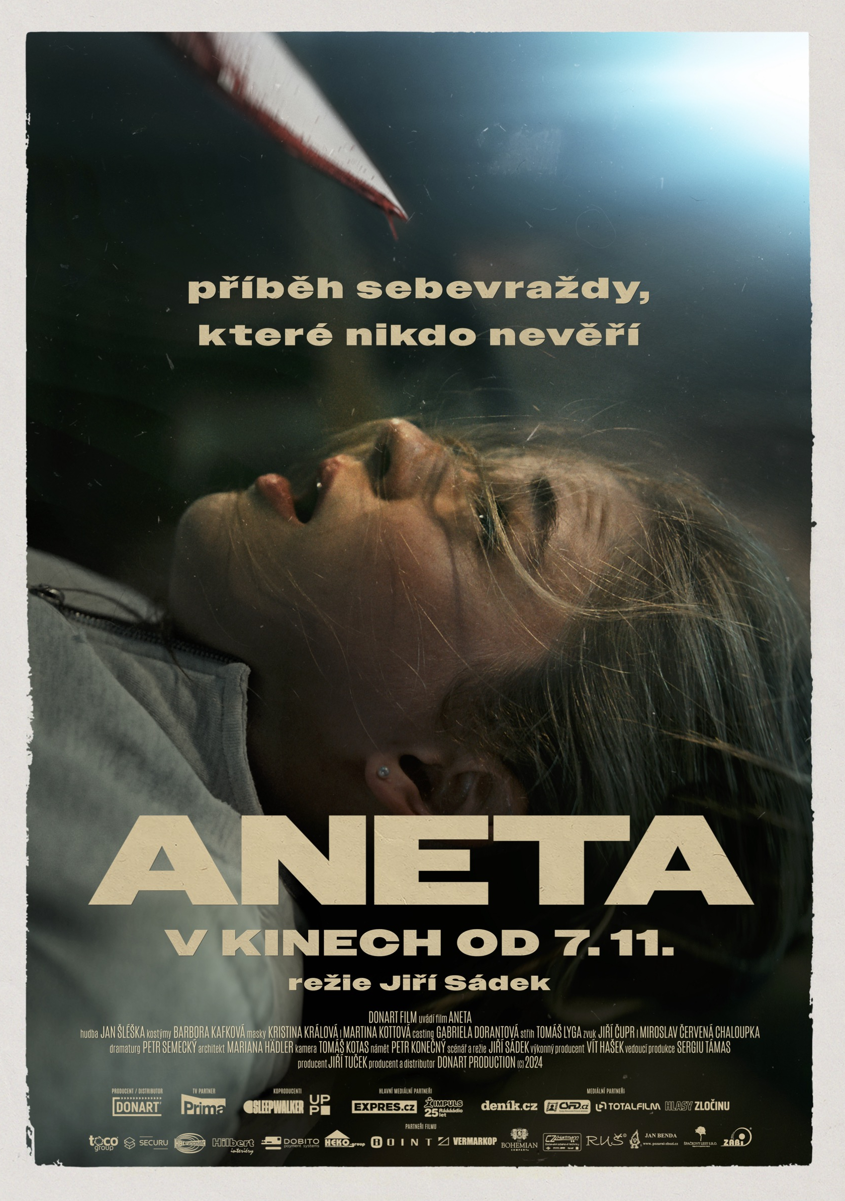 Plakát Aneta