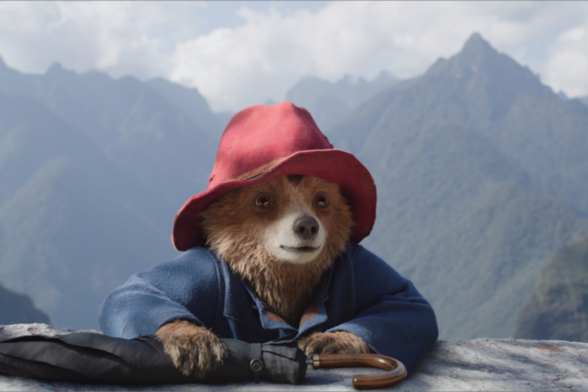 Foto Paddington v džungli