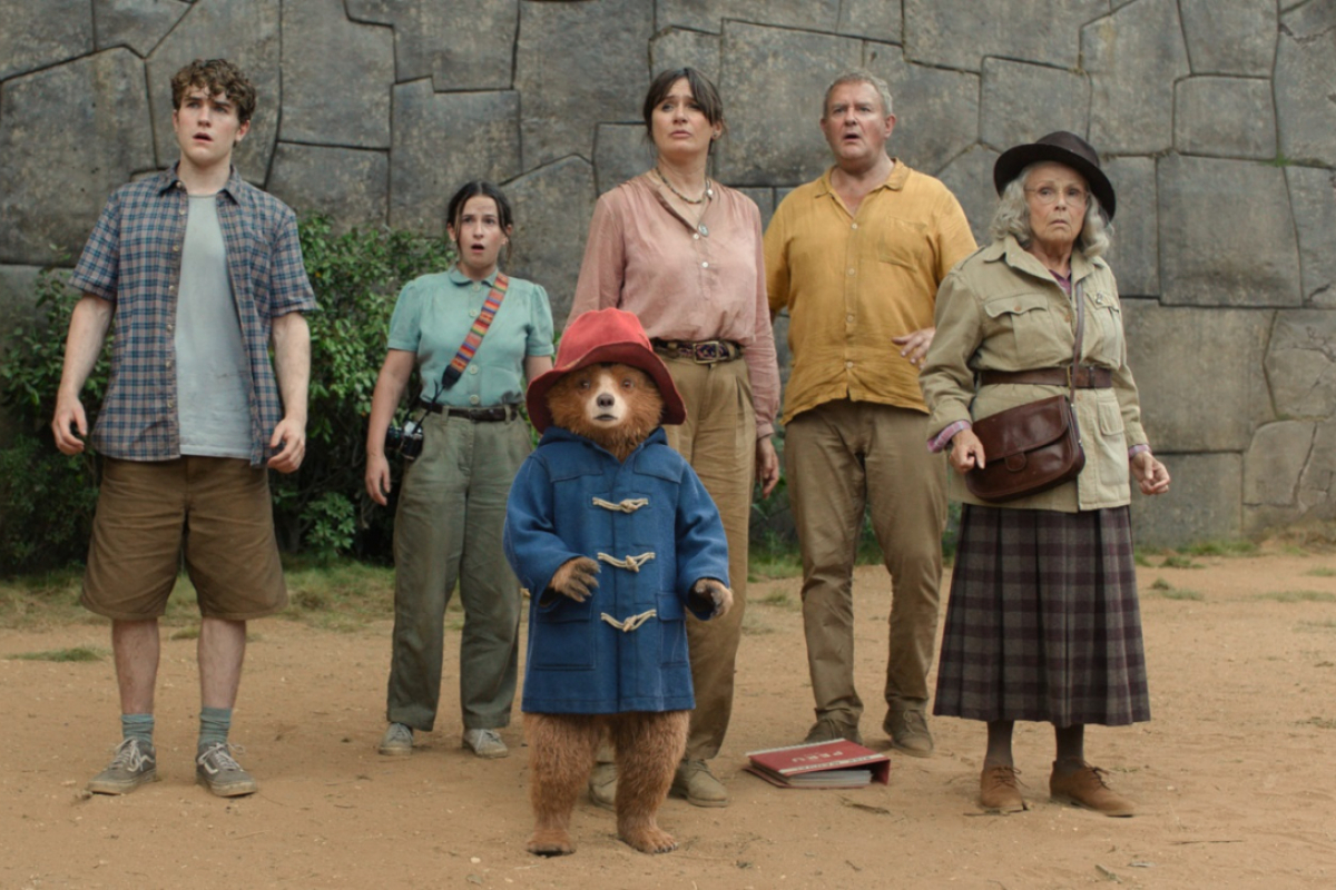 Foto Paddington v džungli
