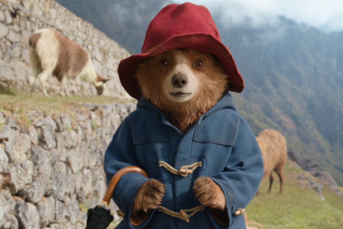 Foto Paddington v džungli