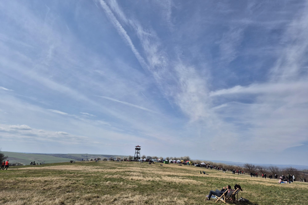 Foto k aktualitě Účast zaměstnanců domu kultury na Slavnostech mandloní a vína v Hustopečích