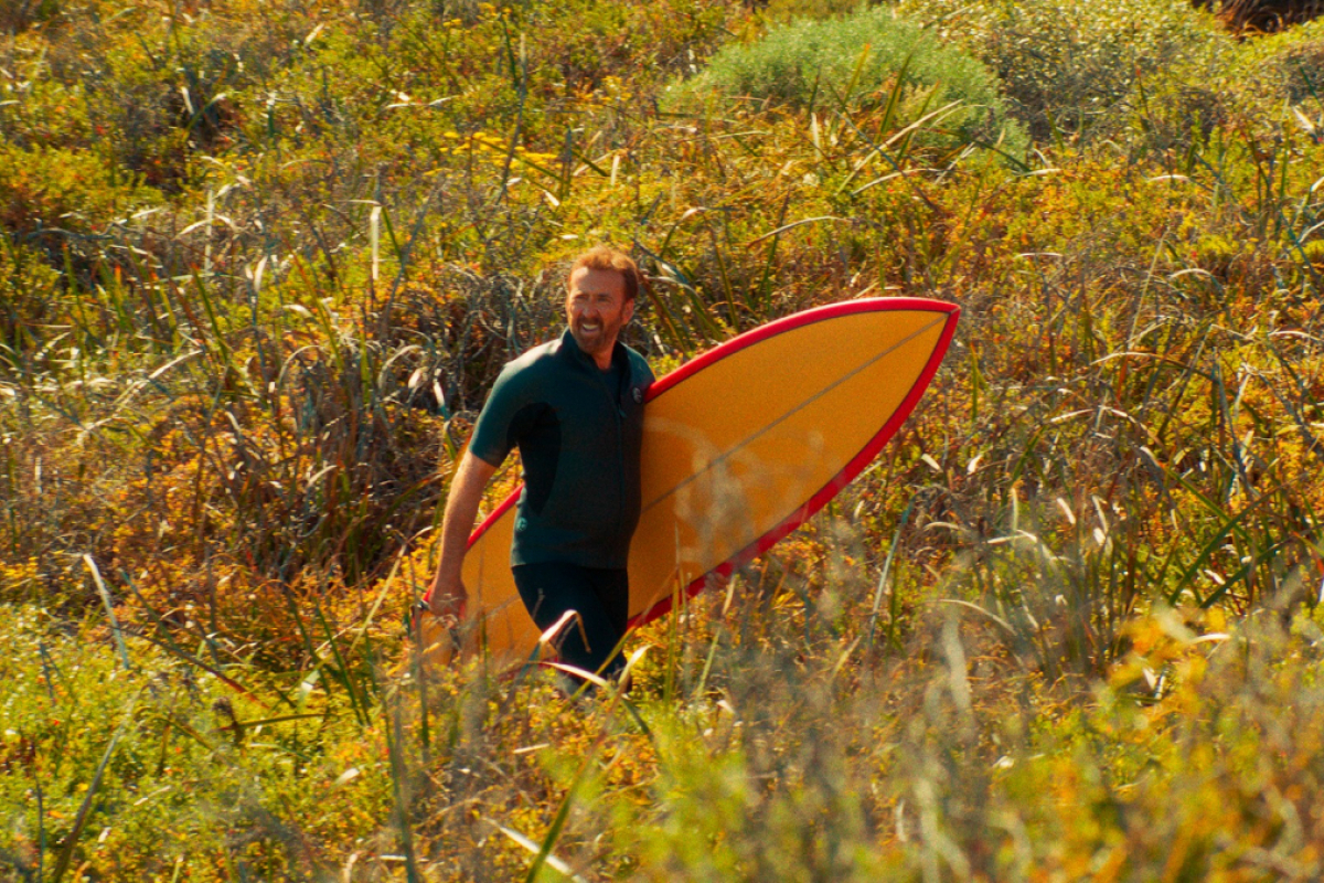 Foto The Surfer