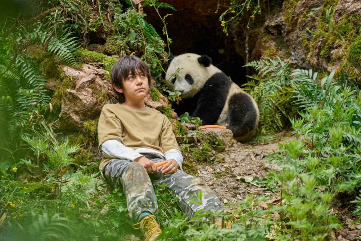 Foto Panda a já