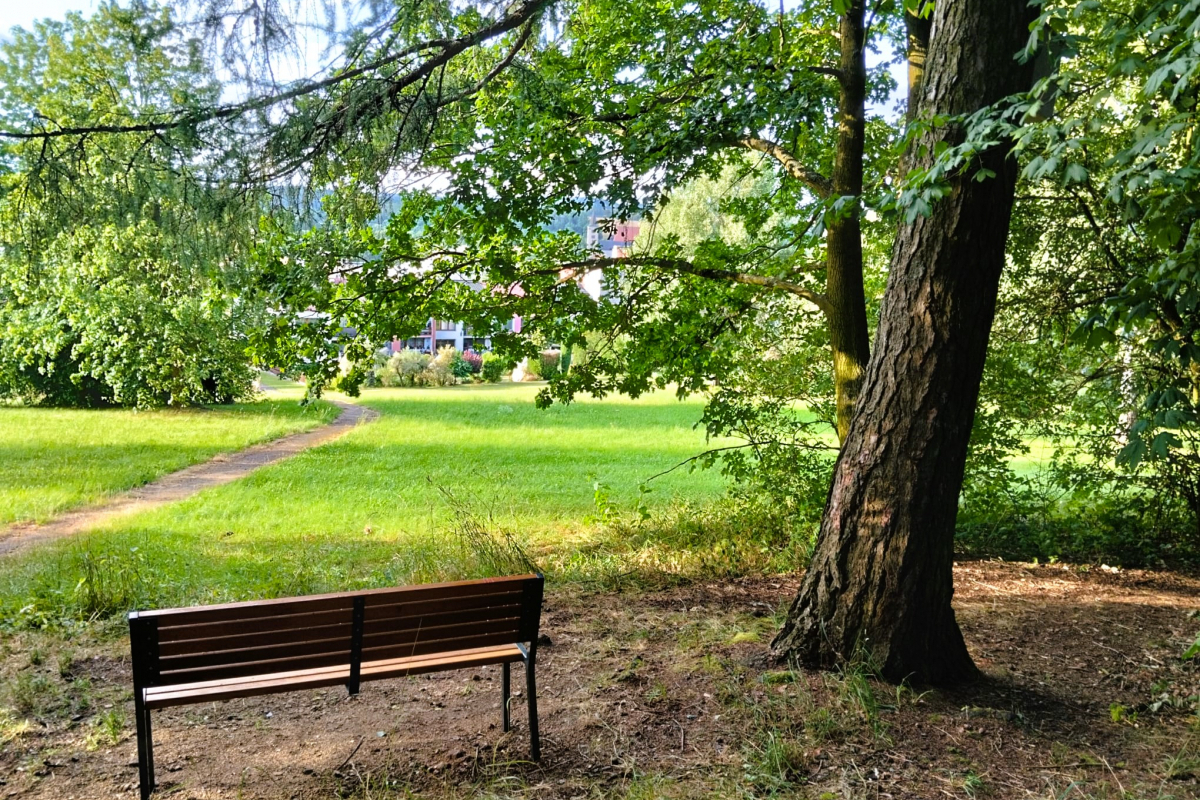 Foto Naučná stezka Život na Hůreckém lesíku