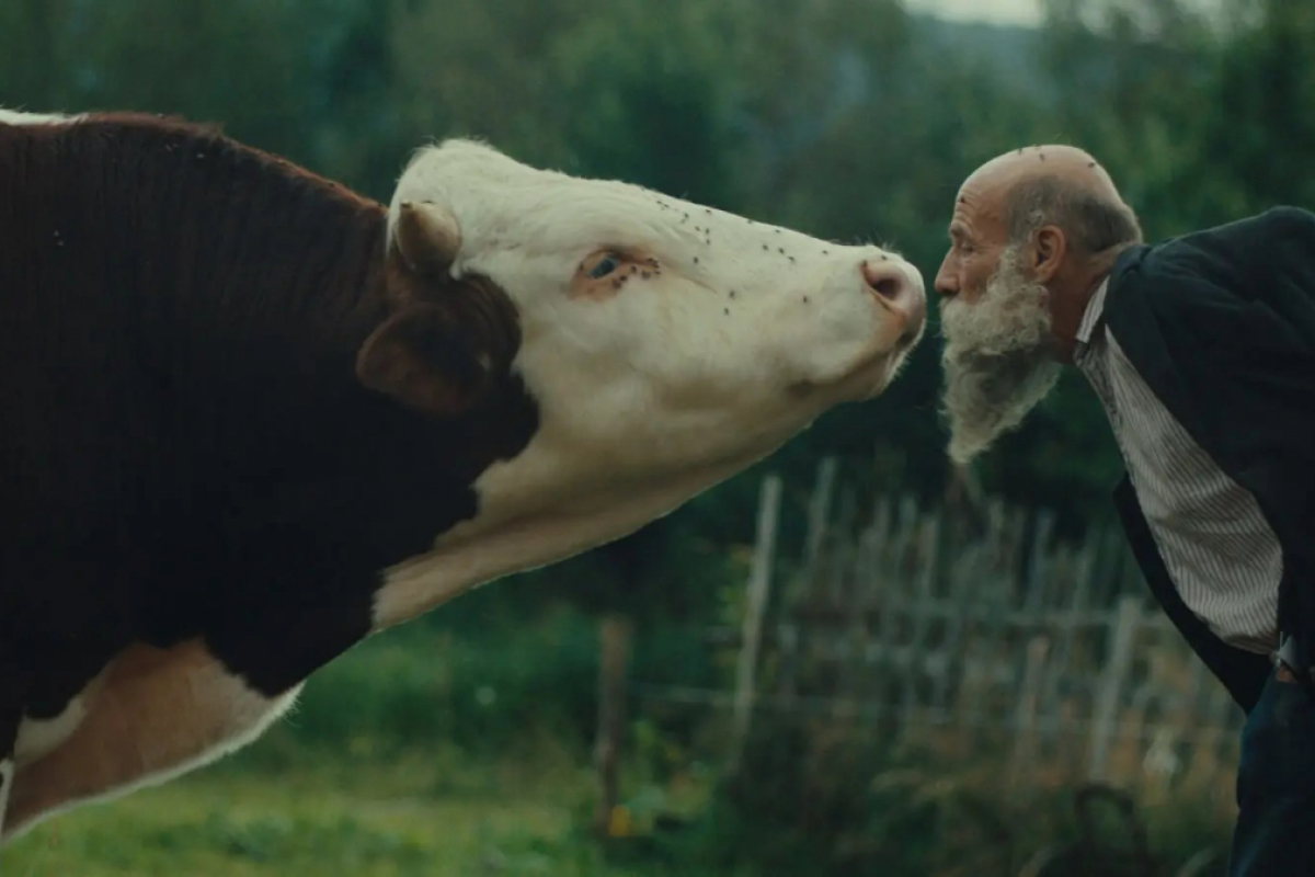 Foto Raději zešílet v divočině
