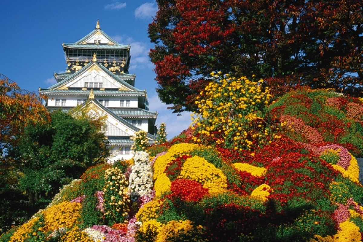 Foto Jiří Kolbaba - Mystické Japonsko