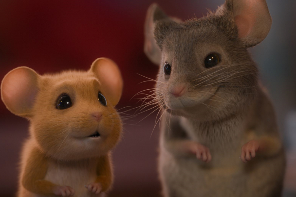 Foto Myši v akci: Vánoční past