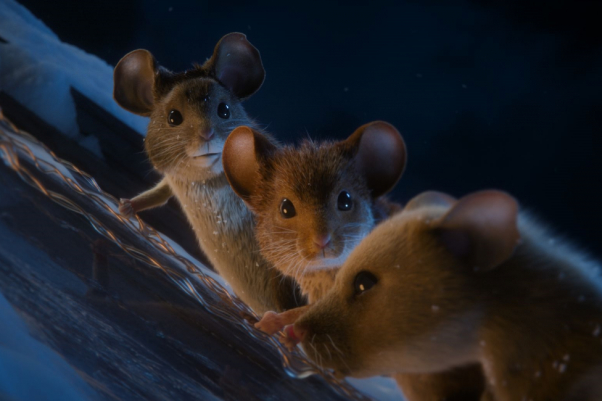 Foto Myši v akci: Vánoční past