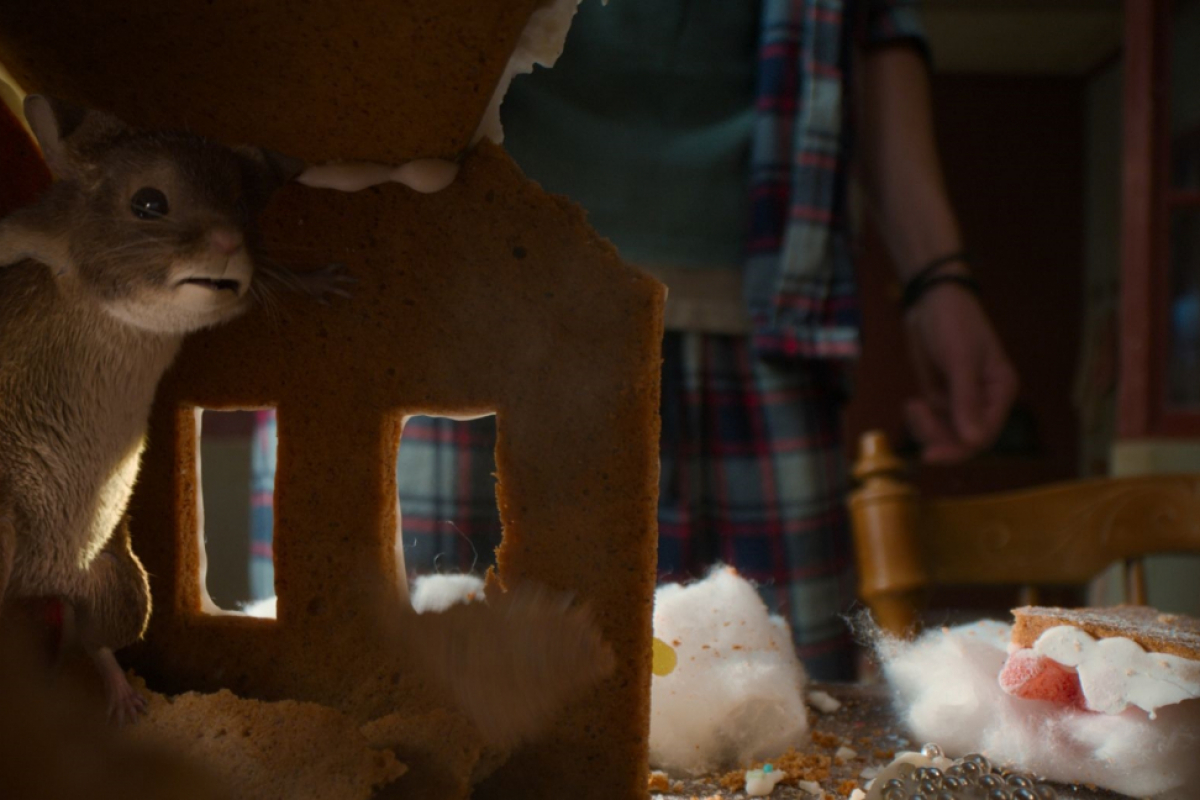 Foto Myši v akci: Vánoční past