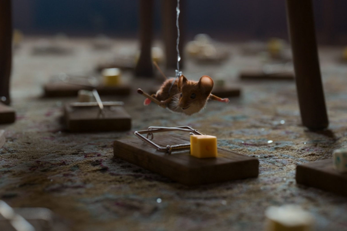 Foto Myši v akci: Vánoční past