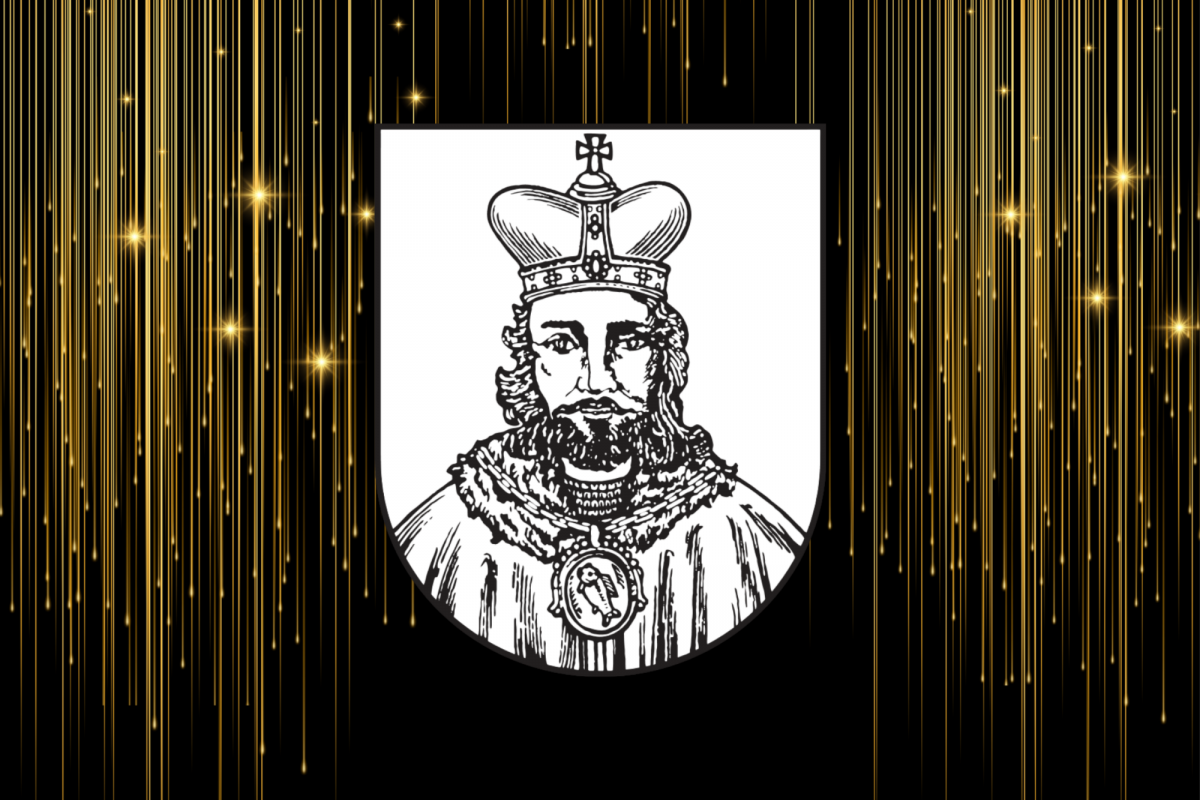 Foto Ples města Milevska 2026