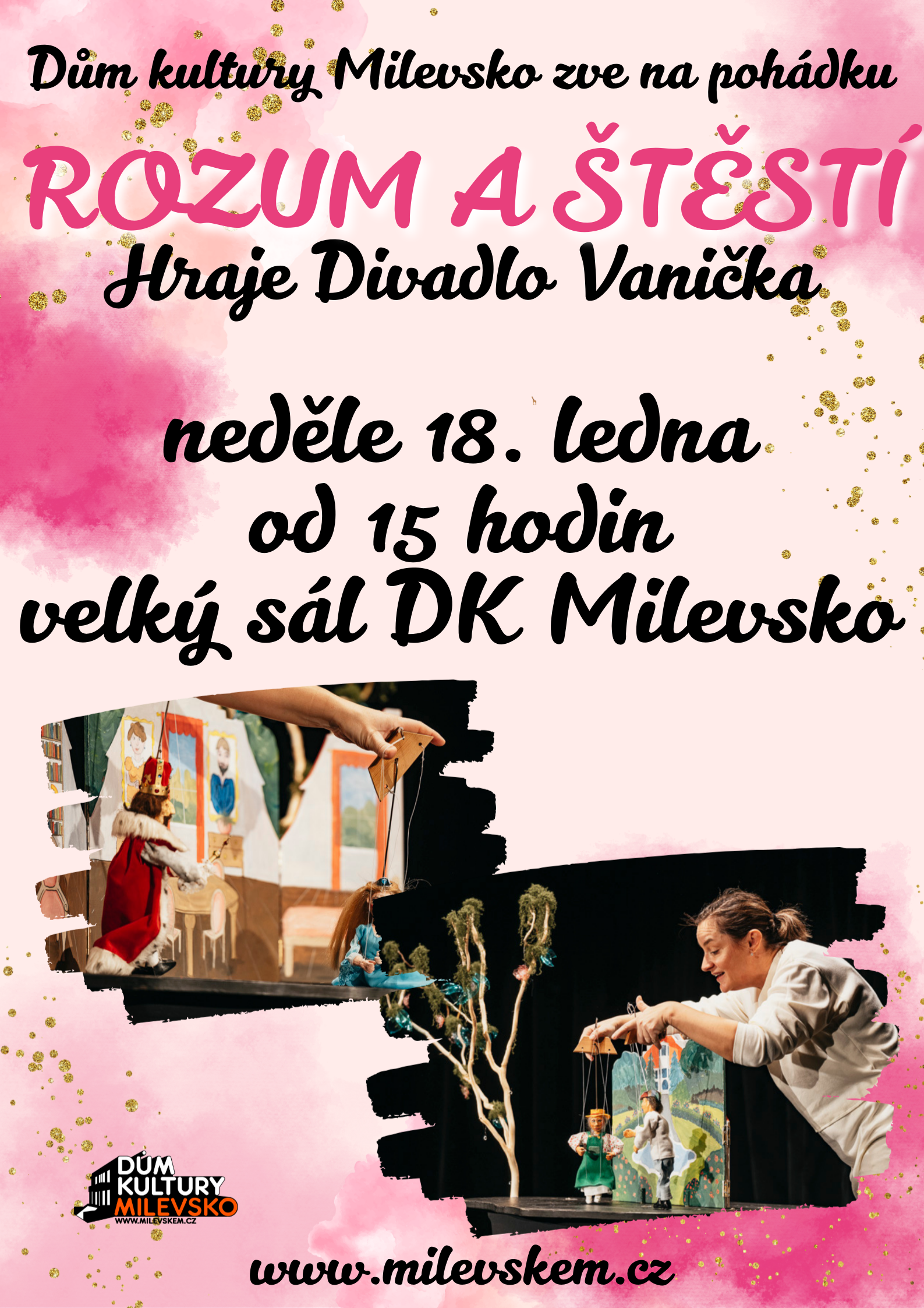 Plakát Pohádka - Rozum a štěstí
