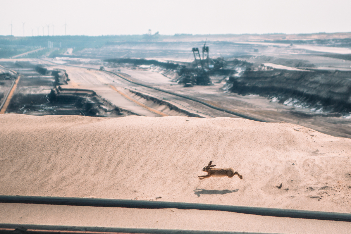 Foto Fotograf David Těšínský - Cestopisná beseda
