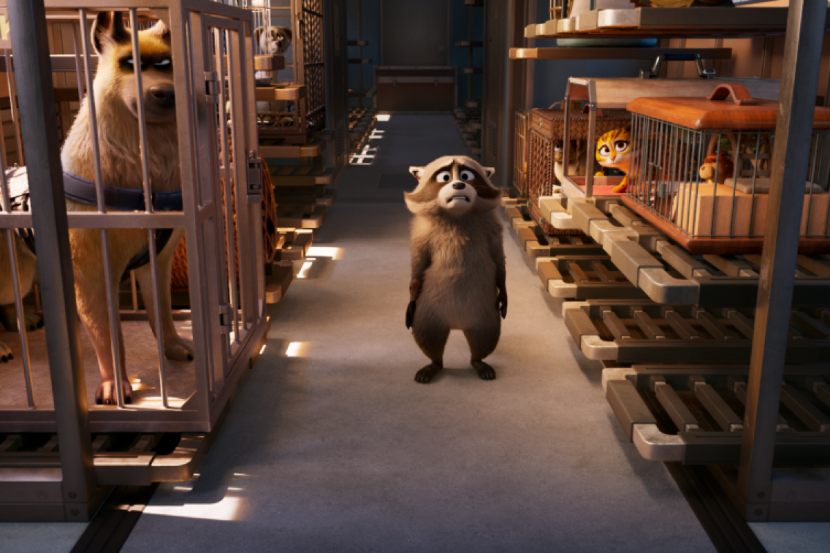 Foto Mazlíčci v průšvihu