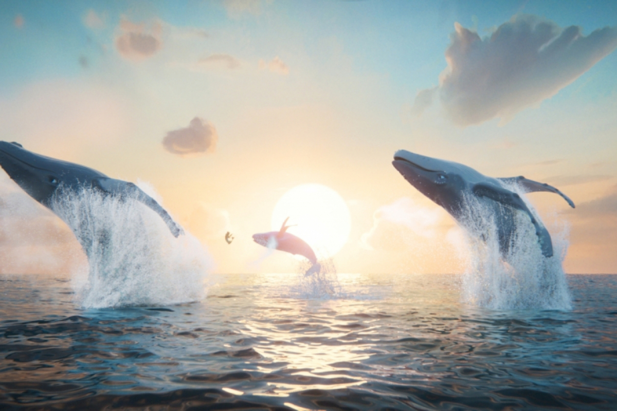 Foto Velrybí píseň