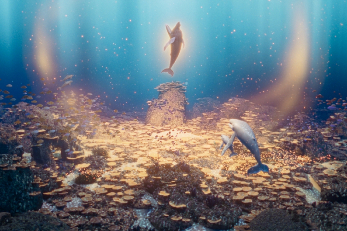 Foto Velrybí píseň