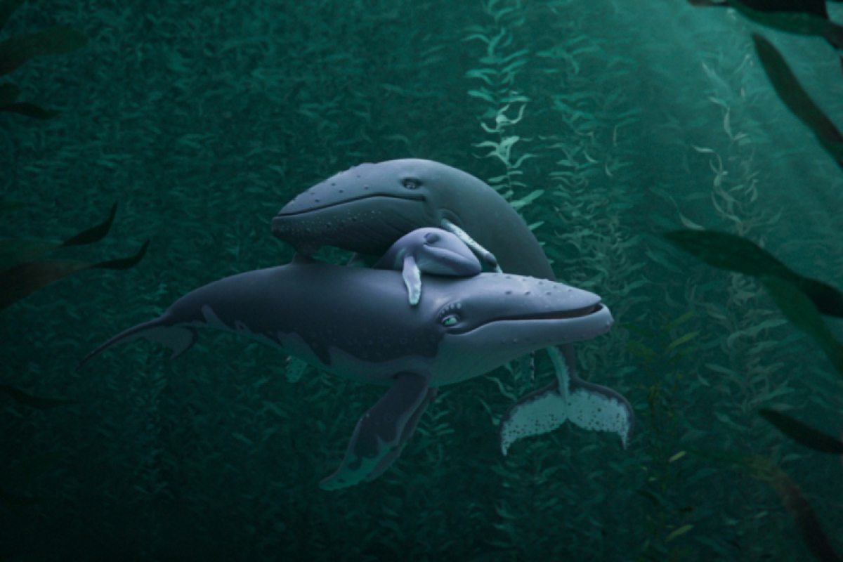 Foto Velrybí píseň