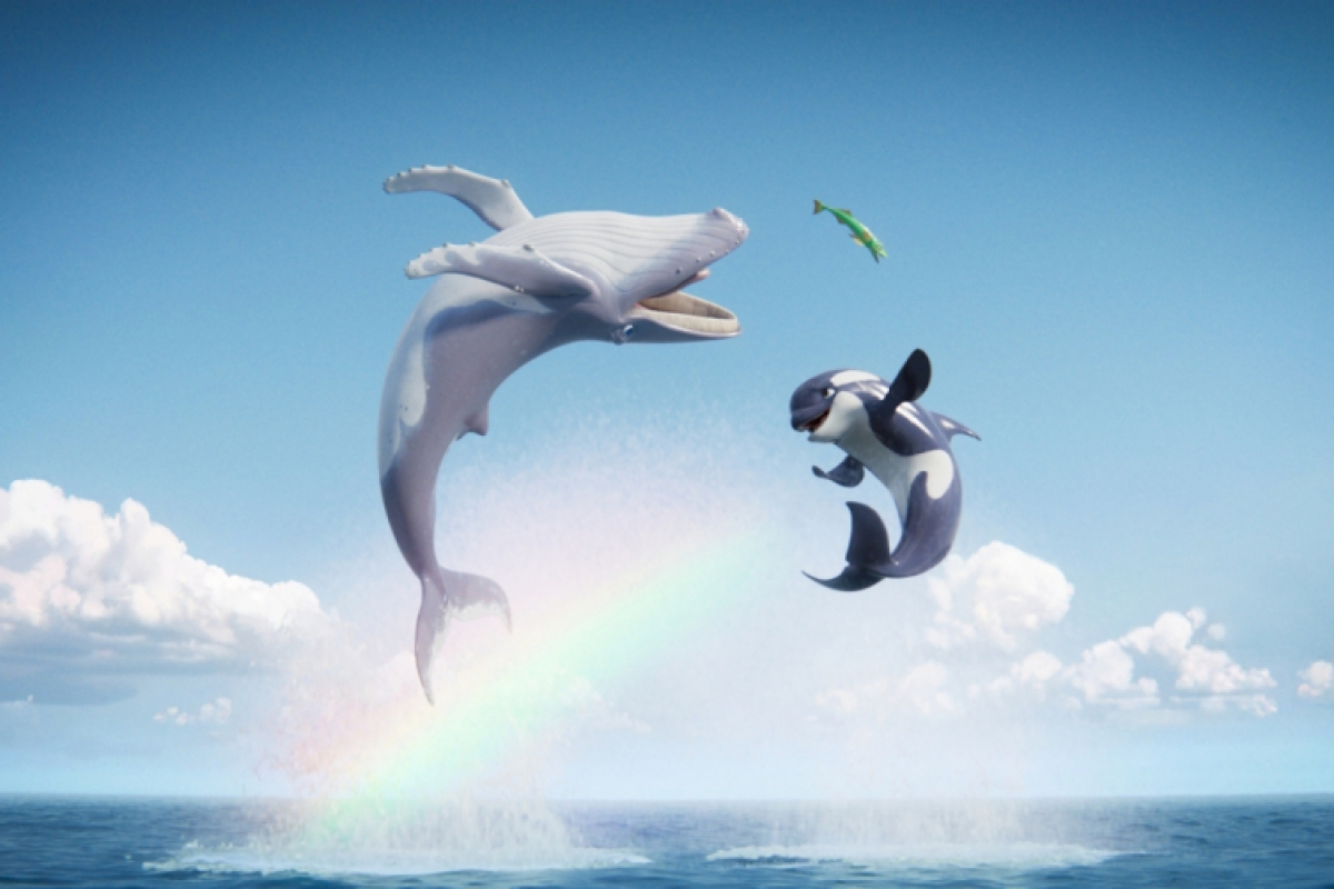 Foto Velrybí píseň